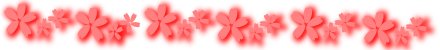 ���~�l�[�^�[�E�t�B�����̃��~�t���b�V��